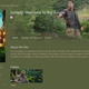 Image for article titled How to Choose Between iTunes and Google Play Movies & TV